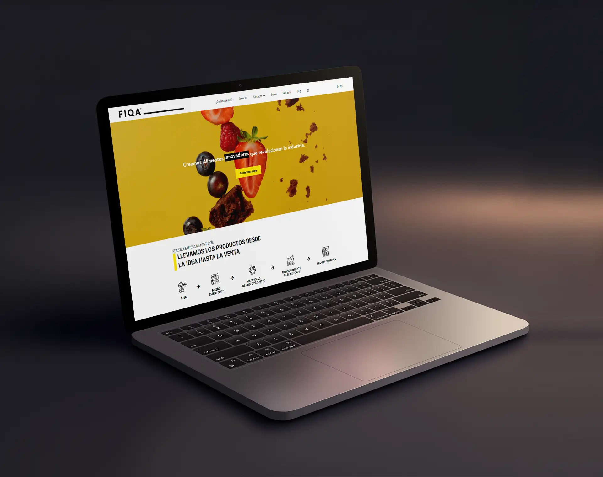 FIQA desarrollo de producto
